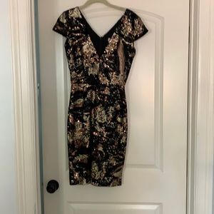 Dress the Population SZ S velvet and sequin dress
